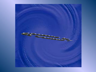 el viento y el camino 