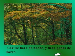 Casi se hace de noche, y tiene ganas de llorar. 