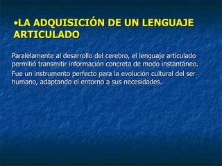 LA ADQUISICIÓN DE UN LENGUAJE ARTICULADO Paralelamente al desarrollo del cerebro, el lenguaje articulado permitió transmitir información concreta de modo instantáneo.  Fue un instrumento perfecto para la evolución cultural del ser humano, adaptando el entorno a sus necesidades. 