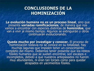 CONCLUSIONES DE LA HOMINIZACIÓN La evolución humana no es un proceso líneal , sino que presenta  variadas ramificaciones , de manera que nos vamos a encontrar con especies distintas de  homínidos , que van a vivir al mismo tiempo. Algunos se extinguirán y otros continuarán evolucionando. Queda mucho por investigar y conocer.  El proceso de hominización todavía no se conoce en su totalidad, hay muchas lagunas que impiden tener un conocimiento completo del mismo. Debemos tener presente que los restos fósiles humanos que se suelen encontrar, son escasos e incompletos, debido a que nuestros antepasados no fueron muy abundantes, ni eran tan torpes como para quedar atrapados en yacimientos fósiles. 