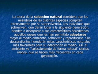 La teoría de la  selección natural  considera que los miembros de las distintas especies compiten intensamente por su supervivencia. Los individuos que sobreviven, que darán lugar a la siguiente generación, tienden a incorporar a sus características hereditarias aquellos rasgos que les han permitido  adaptarse  mejor al medio ambiente, sobrevivir y reproducirse. Sus descendientes heredarán estas características naturales más favorables para su adaptación al medio. Así, el ambiente va "seleccionando de forma natural" ciertos rasgos, que se hacen más frecuentes en cada generación.  