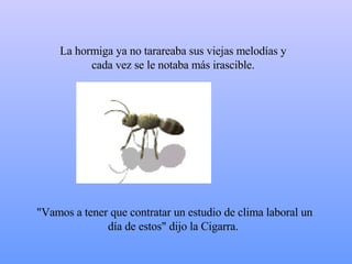 La hormiga ya no tarareaba sus viejas melodías y cada vez se le notaba más irascible. "Vamos a tener que contratar un estudio de clima laboral un día de estos" dijo la Cigarra.  
