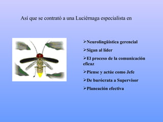 Así que se contrató a una Luciérnaga especialista en Neurolingüística gerencial Sigan al líder El proceso de la comunicación eficaz Piense y actúe como Jefe De burócrata a Supervisor Planeación efectiva 