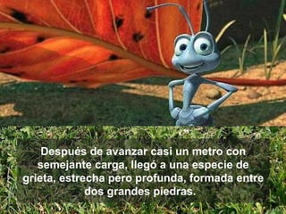 Después de avanzar casi un metro con semejante carga, llegó a una especie de grieta, estrecha pero profunda, formada entre dos grandes piedras.   