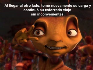 Al llegar al otro lado, tomó nuevamente su carga y continuó su esforzado viaje  sin inconvenientes. 