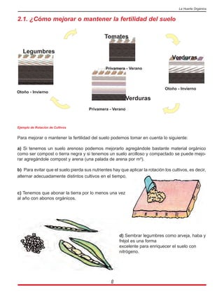 2.1. ¿Cómo mejorar o mantener la fertilidad del suelo
Ejemplo de Rotación de Cultivos
Para mejorar o mantener la fertilidad del suelo podemos tomar en cuenta lo siguiente:
a) Si tenemos un suelo arenoso podemos mejorarlo agregándole bastante material orgánico
como ser compost o tierra negra y si tenemos un suelo arcilloso y compactado se puede mejo-
rar agregándole compost y arena (una palada de arena por m²).
b) Para evitar que el suelo pierda sus nutrientes hay que aplicar la rotación los cultivos, es decir,
alternar adecuadamente distintos cultivos en el tiempo.
c) Tenemos que abonar la tierra por lo menos una vez
al año con abonos orgánicos.
d) Sembrar legumbres como arveja, haba y
fréjol es una forma
excelente para enriquecer el suelo con
nitrógeno.
8
La Huerta Orgánica
Otoño - Invierno
Otoño - Invierno
Privamera - Verano
Privamera - Verano
Legumbres
Tomates
Verduras
Verduras
 