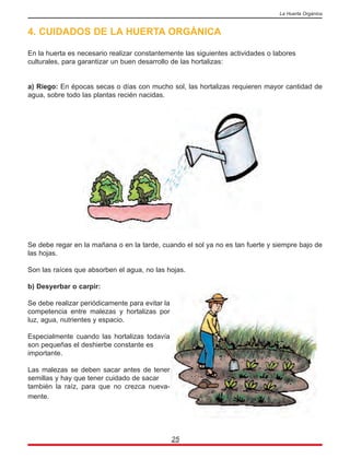 4. CUIDADOS DE LA HUERTA ORGÁNICA
En la huerta es necesario realizar constantemente las siguientes actividades o labores
culturales, para garantizar un buen desarrollo de las hortalizas:
a) Riego: En épocas secas o días con mucho sol, las hortalizas requieren mayor cantidad de
agua, sobre todo las plantas recién nacidas.
Se debe regar en la mañana o en la tarde, cuando el sol ya no es tan fuerte y siempre bajo de
las hojas.
Son las raíces que absorben el agua, no las hojas.
b) Desyerbar o carpir:
Se debe realizar periódicamente para evitar la
competencia entre malezas y hortalizas por
luz, agua, nutrientes y espacio.
Especialmente cuando las hortalizas todavía
son pequeñas el deshierbe constante es
importante.
Las malezas se deben sacar antes de tener
semillas y hay que tener cuidado de sacar
también la raíz, para que no crezca nueva-
mente.
25
La Huerta Orgánica
 