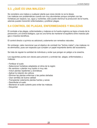 5.3. ¿QUÉ ES UNA MALEZA?
Se considera una maleza a cualquier planta que crece donde no se la desee.
Las malezas son problemáticas cuando son muy abundantes porque compiten con las
hortalizas por espacio, luz, agua y nutrientes; esto puede disminuir la producción de la huerta,
además pueden transmitir enfermedades y proliferar plagas.
5.4 CONTROL DE PLAGAS, ENFERMEDADES Y MALEZAS
El combate a las plagas, enfermedades y malezas en la huerta orgánica se logra a través de la
prevención y el control biológico, que es una forma de mantener el equilibrio entre insectos pla-
gas e insectos benéficos.
El control directo o químico es adicional y solamente con remedios naturales.
Sin embargo, cabe mencionar que el objetivo de combatir los "bichos malos" y las malezas no
es eliminarlos, pues son especies que cumplen un papel importante dentro del ecosistema.
Se trata de regular la cantidad de individuos y evitar que pongan en peligro a la cosecha.
Los siguientes puntos son claves para prevenir y controlar las plagas, enfermedades y
malezas:
- Fertilizar el suelo
- Seleccionar hortalizas adaptados al clima de la región
- No sembrar o plantar muy tupido ni muy ralo
- Incluir plantas repelentes y aromáticas
- Aplicar la rotación de cultivos
- Eliminar las plantas enfermas o las partes dañadas
- Usar semillas de buena calidad
- Transplantar solamente plantas fuertes y sanas
- Desinfectar el suelo
- Mantener el suelo cubierto para evitar las malezas
- Desyerbar
28
La Huerta Orgánica
 