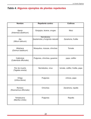 34
La Huerta Orgánica
Tabla 4. Algunos ejemplos de plantas repelentes
Nombre Repelente contra: Cultivos
Ajenjo
(Artemisia absithium)
Gorgojos, ácaros, orugas Maíz
Ajo
(Allium sativum)
Nemátodos
(bactericida y fungicida natural) Zanahoria, frutilla
Albahaca
(Ocimun basilicum)
Mosquitos, moscas, chinches Tomate
Caléndula
(Calendula officinalis)
Pulgones, chinches, gusanos papa, coliflor
Flor de muerto
(Tagetes erecta)
Nemátodos, virus tomate, coliflor, frutilla, papa
Ortiga
(Urtica dioica)
Pulgones cítricos, papa
Romero
(Rosmarinus officinalis)
Chinches Zanahoria, repollo
Yerbabuena
(Mentha viridis)
Pulgones Repollo
 
