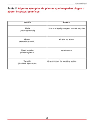 35
La Huerta Orgánica
Tabla 5. Algunos ejemplos de plantas que hospedan plagas o
atraen insectos benéficos
Nombre Atrae a:
Alfalfa
(Medicago sativa)
Hospedera pulgones pero también vaquitas
Girasol
(Helianthus annus)
Atrae a las abejas
Clavel amarillo
(Wedelia glauca)
Atrae ácaros
Tomatillo
(Solanum ligustrinum)
Atrae gorgojos del tomate y polillas
 