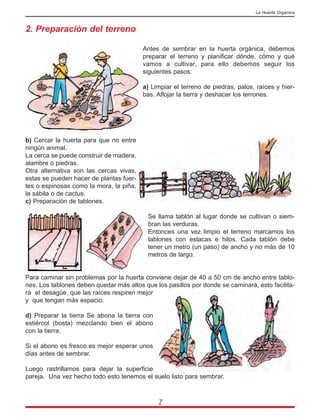 2. Preparación del terreno
Antes de sembrar en la huerta orgánica, debemos
preparar el terreno y planificar dónde, cómo y qué
vamos a cultivar, para ello debemos seguir los
siguientes pasos:
a) Limpiar el terreno de piedras, palos, raíces y hier-
bas. Aflojar la tierra y deshacer los terrones.
b) Cercar la huerta para que no entre
ningún animal.
La cerca se puede construir de madera,
alambre o piedras.
Otra alternativa son las cercas vivas,
estas se pueden hacer de plantas fuer-
tes o espinosas como la mora, la piña,
la sábila o de cactus.
c) Preparación de tablones.
Se llama tablón al lugar donde se cultivan o siem-
bran las verduras.
Entonces una vez limpio el terreno marcamos los
tablones con estacas e hilos. Cada tablón debe
tener un metro (un paso) de ancho y no más de 10
metros de largo.
Para caminar sin problemas por la huerta conviene dejar de 40 a 50 cm de ancho entre tablo-
nes. Los tablones deben quedar más altos que los pasillos por donde se caminará, esto facilita-
rá el desagüe, que las raíces respiren mejor
y que tengan más espacio.
d) Preparar la tierra Se abona la tierra con
estiércol (bosta) mezclando bien el abono
con la tierra.
Si el abono es fresco es mejor esperar unos
días antes de sembrar.
Luego rastrillamos para dejar la superficie
pareja. Una vez hecho todo esto tenemos el suelo listo para sembrar.
7
La Huerta Orgánica
 