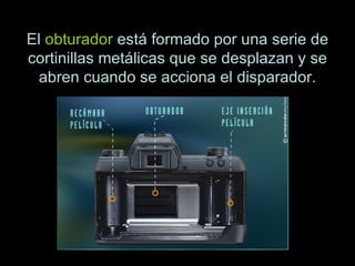 El  obturador  está formado por una serie de cortinillas metálicas que se desplazan y se abren cuando se acciona el disparador. 