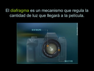 El  diafragma  es un mecanismo que regula la cantidad de luz que llegará a la película. 