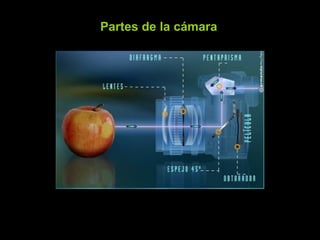 Partes de la cámara 
