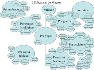 Lepra
                                Cáncer
                                                 9 Subcausas de Muerte
                                         Sida
   Por enfermedad                        VHI                     Suicidio                                              Por crímen
                                                                                         Armas           Bomba
                           Infecciones
Epidemia    Ataque                                                                      Biológicas
                                                   Hambre                                                       Terrorismo            Asesinato
           Cardiaco
                                                 Desnutrición         Armas                                                        Envenenamient
                                                                   Convencionales                                                        o
                                                                                       Por guerra                                       Disparo
                   Sed
                              Por causas               Falta
                                                      oxígeno
                                                                             Armas                               Revolución
                                                                                                                                        Arma
                                                                            Químicas
                              ﬁsiológicas                                                Armas
                                                                                                         Atentado
                                                                                                                                     punzocortante
              Hipotermia                                                                nucleares
                                Por sobredosis
                                                                                                                    Contaminación
                                                                                          Error o
                                                            Por vejez                   negligencia
                                                                                                     Radiación
                                                                                                                      Polusión
                                                                                                                               Deportivo
                                                                                          médico
                                                                                              Ataque
                                                                                              animal                                       Laboral
                                                     Senilidad                             Choque
                                                                                          eléctrico       Por accidente Ahogamie
                                                                                                                          nto
           Inyección                                                                                Inversión
             de gas                                                                    Erupción      térmica                          Vehículo
                           Por causa                                  Terremoto
                                                                                                           Estampida
                                                                                                                        Incendio
             Silla                                                                                                                       Avión
           eléctrica        judicial
                                                 Pena de
                                                                  Deslave     Desastres                                                 Coche
                                                                                                           Ciclón             Tren
                                                 Muerte
                  Ahorcan       Fusilamiento                                  Naturales                                                 Moto
                                                                  Tornado                                                Camión
                                                                                                        Avalancha                  Bicicleta
                                                                                          Huracán                      Carreta
                                                                        Maremoto
                                                                                                                       Caballo
 