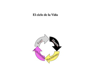 El ciclo de la Vida
 