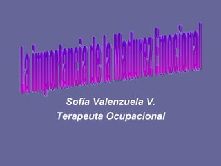 Sofía Valenzuela V.
Terapeuta Ocupacional