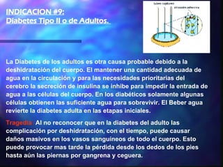 La Diabetes de los adultos es otra causa probable debido a la deshidratación del cuerpo. El mantener una cantidad adecuada de agua en la circulación y para las necesidades prioritarias del cerebro la secreción de insulina se inhibe para impedir la entrada de agua a las células del cuerpo. En los diabéticos solamente algunas células obtienen las suficiente agua para sobrevivir. El Beber agua revierte la diabetes adulta en las etapas iniciales.  Tragedia :  Al no reconocer que en la diabetes del adulto las complicación por deshidratación, con el tiempo, puede causar daños masivos en los vasos sanguíneos de todo el cuerpo. Esto puede provocar mas tarde la pérdida desde los dedos de los pies hasta aún las piernas por gangrena y ceguera.    INDICACION #9: Diabetes Tipo II o de Adultos.  