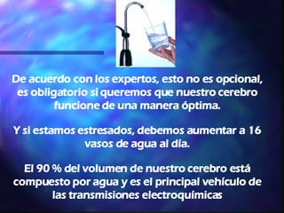 De acuerdo con los expertos, esto no es opcional, es obligatorio si queremos que nuestro cerebro funcione de una manera óptima. Y si estamos estresados, debemos aumentar a 16 vasos de agua al día. El 90 % del volumen de nuestro cerebro está compuesto por agua y es el principal vehículo de las transmisiones electroquímicas 