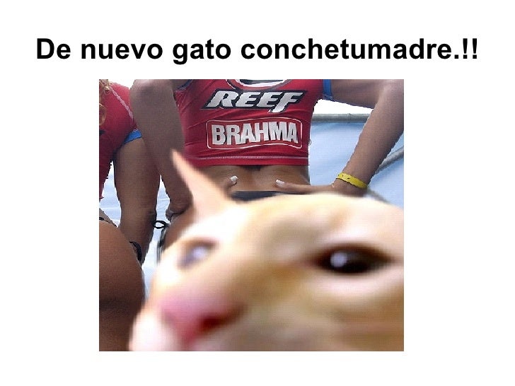 la-importancia-del-conchesumadre-y-sus-derivados-20-728.jpg