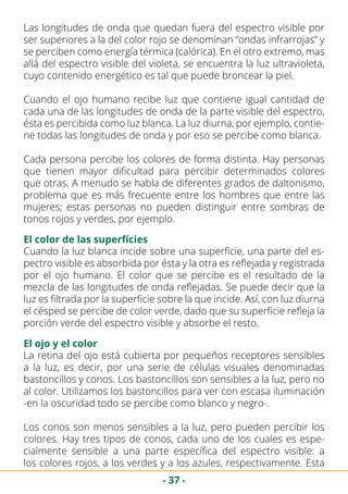 - 37 -
Las longitudes de onda que quedan fuera del espectro visible por
ser superiores a la del color rojo se denominan “ondas infrarrojas” y
se perciben como energía térmica (calórica). En el otro extremo, mas
allá del espectro visible del violeta, se encuentra la luz ultravioleta,
cuyo contenido energético es tal que puede broncear la piel.
Cuando el ojo humano recibe luz que contiene igual cantidad de
cada una de las longitudes de onda de la parte visible del espectro,
ésta es percibida como luz blanca. La luz diurna, por ejemplo, contie-
ne todas las longitudes de onda y por eso se percibe como blanca.
Cada persona percibe los colores de forma distinta. Hay personas
que tienen mayor dificultad para percibir determinados colores
que otras. A menudo se habla de diferentes grados de daltonismo,
problema que es más frecuente entre los hombres que entre las
mujeres; estas personas no pueden distinguir entre sombras de
tonos rojos y verdes, por ejemplo.
El color de las superfícies
Cuando la luz blanca incide sobre una superficie, una parte del es-
pectro visible es absorbida por ésta y la otra es reflejada y registrada
por el ojo humano. El color que se percibe es el resultado de la
mezcla de las longitudes de onda reflejadas. Se puede decir que la
luz es filtrada por la superficie sobre la que incide. Así, con luz diurna
el césped se percibe de color verde, dado que su superficie refleja la
porción verde del espectro visible y absorbe el resto.
El ojo y el color
La retina del ojo está cubierta por pequeños receptores sensibles
a la luz, es decir, por una serie de células visuales denominadas
bastoncillos y conos. Los bastoncillos son sensibles a la luz, pero no
al color. Utilizamos los bastoncillos para ver con escasa iluminación
-en la oscuridad todo se percibe como blanco y negro-.
Los conos son menos sensibles a la luz, pero pueden percibir los
colores. Hay tres tipos de conos, cada uno de los cuales es espe-
cialmente sensible a una parte específica del espectro visible: a
los colores rojos, a los verdes y a los azules, respectivamente. Esta
 