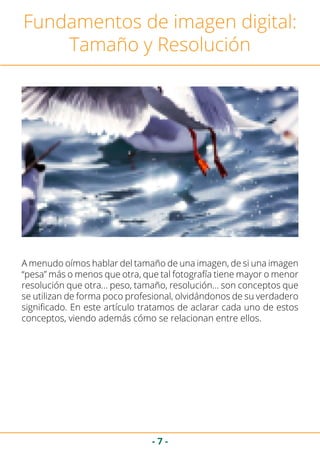 - 7 -
Fundamentos de imagen digital:
Tamaño y Resolución
A menudo oímos hablar del tamaño de una imagen, de si una imagen
“pesa” más o menos que otra, que tal fotografía tiene mayor o menor
resolución que otra… peso, tamaño, resolución… son conceptos que
se utilizan de forma poco profesional, olvidándonos de su verdadero
significado. En este artículo tratamos de aclarar cada uno de estos
conceptos, viendo además cómo se relacionan entre ellos.
 