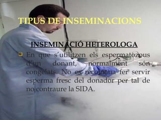 TIPUS DE INSEMINACIONS INSEMINACIÓ HETEROLOGA En que s’utilitzen els espermatozous d’un donant, normalment són congelats. No es recomana fer servir esperma fresc del donador per tal de no contraure la SIDA.  