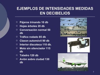 EJEMPLOS DE INTENSIDADES MEDIDAS EN DECIBELIOS Pájaros trinando 10 db Hojas árboles 20 db Conversación normal 50 db Tráfico rodado 85 db Claxon automóvil 90 db Interior discoteca 110 db. Moto sin silenciador 115 db Taladro 120 db Avión sobre ciudad 130 db 