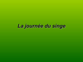 La journée du singe 