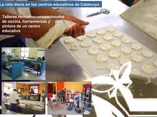 La vida diaria en los centros educativos de Catalunya  Talleres formativo-ocupacionales de cocina, herramientas y  pintura de un centro  educativo 