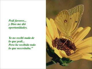 La lección de la  Mariposa