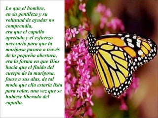 La lección de la  Mariposa