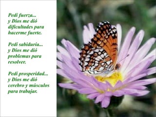 La lección de la  Mariposa