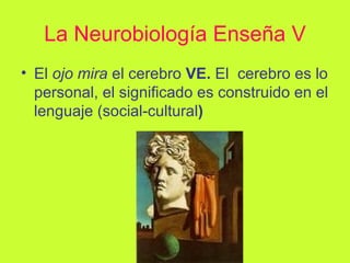 La Neurobiología Enseña V El  ojo mira  el cerebro   VE.  El  cerebro es lo personal, el significado es construido en el lenguaje (social-cultural )  