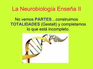 La Neurobiología Enseña II No vemos  PARTES …construimos  TOTALIDADES  (Gestalt) y completamos lo que está incompleto. 
