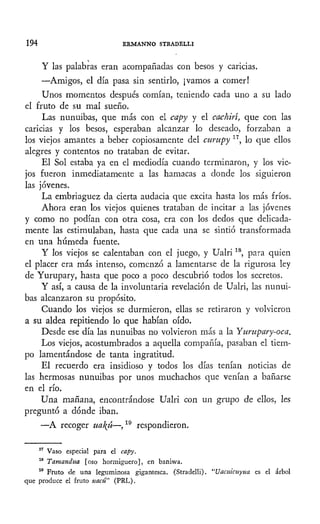 194 ERMANNO STRADELLI
Y las palabras eran acompañadas con besos y caricias.
—Amigos, el día pasa sin sentirlo, ¡vamos a comer!
Unos momentos después comían, teniendo cada uno a su lado
el fruto de su mal sueño.
Las nunuibas, que más con el capy y el cachiri, que con las
caricias y los besos, esperaban alcanzar lo deseado, forzaban a
los viejos amantes a beber copiosamente del curupy 17
, lo que ellos
alegres y contentos no trataban de evitar.
El Sol estaba ya en el mediodía cuando terminaron, y los vie-
jos fueron inmediatamente a las hamacas a donde los siguieron
las jóvenes.
La embriaguez da cierta audacia que excita hasta los más fríos.
Ahora eran los viejos quienes trataban de incitar a las jóvenes
y como no podían con otra cosa, era con los dedos que delicada-
mente las estimulaban, hasta que cada una se sintió transformada
en una húmeda fuente.
Y los viejos se calentaban con el juego, y Ualri18
, para quien
el placer era más intenso, comenzó a lamentarse de la rigurosa ley
de Yurupary, hasta que poco a poco descubrió todos los secretos.
Y así, a causa de la involuntaria revelación de Ualri, las nunui-
bas alcanzaron su propósito.
Cuando los viejos se durmieron, ellas se retiraron y volvieron
a su aldea repitiendo lo que habían oído.
Desde ese día las nunuibas no volvieron más a la Yurupary-oca.
Los viejos, acostumbrados a aquella compañía, pasaban el tiem-
po lamentándose de tanta ingratitud.
El recuerdo era insidioso y todos los días tenían noticias de
las hermosas nunuibas por unos muchachos que venían a bañarse
en el río.
Una mañana, encontrándose Ualri con un grupo de ellos, les
preguntó a dónde iban.
—A recoger uakjí—,19
respondieron.
17
Vaso especial para el capy.
18
Tamanduá [oso hormiguero], en baniwa.
19
Fruto de una leguminosa gigantesca. (Stradelli). "Uacuicuyua es el árbol
que produce el fruto uacú" (PRL).
 