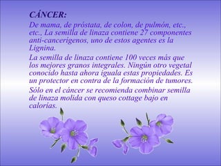 CÁNCER:
De mama, de próstata, de colon, de pulmón, etc.,
etc., La semilla de linaza contiene 27 componentes
anti-cancerígenos, uno de estos agentes es la
Lignina.
La semilla de linaza contiene 100 veces más que
los mejores granos integrales. Ningún otro vegetal
conocido hasta ahora iguala estas propiedades. Es
un protector en contra de la formación de tumores.
Sólo en el cáncer se recomienda combinar semilla
de linaza molida con queso cottage bajo en
calorías.
 