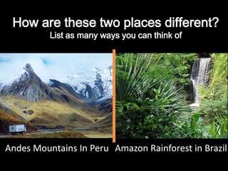 How are these two places different? List as many ways you can think of Andes Mountains In Peru Amazon Rainforest in Brazil 