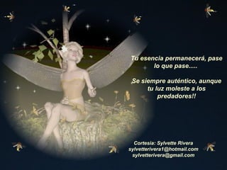 Tu esencia permanecerá, pase lo que pase.....  Se siempre auténtico, aunque tu luz moleste a los predadores!! Cortesia: Sylvette Rivera [email_address] [email_address] 