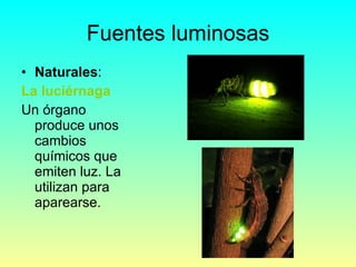 Fuentes luminosas <ul><li>Naturales : </li></ul><ul><li>La luciérnaga </li></ul><ul><li>Un órgano produce unos cambios quí...