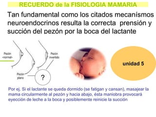 RECUERDO de la FISIOLOGIA MAMARIA
Tan fundamental como los citados mecanísmos
neuroendocrinos resulta la correcta prensión y
succión del pezón por la boca del lactante
Por ej. Si el lactante se queda dormido (se fatigan y cansan), masajear la
mama circularmente al pezón y hacia abajo, ésta maniobra provocará
eyección de leche a la boca y posiblemente reinicie la succión
unidad 5
?
 