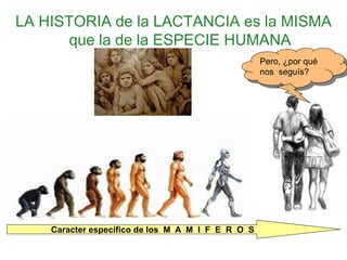 LA HISTORIA de la LACTANCIA es la MISMA
que la de la ESPECIE HUMANA
Caracter específico de los M A M I F E R O S
Pero, ¿por qué
nos seguís?
 