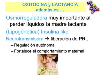 OXITOCINA y LACTANCIA
además es …
Osmorreguladora muy importante al
perder líquidos la madre lactante
(Lipogénetica) Insulina like
Neurotransmisora  liberación de PRL
– Regulación autónoma
– Fortalece el comportamiento maternal
 