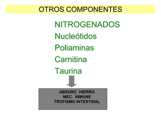 OTROS COMPONENTES
NITROGENADOS
Nucleótidos
Poliaminas
Carnitina
Taurina
ABSORC. HIERRO
MEC. INMUNE
TROFISMO INTESTINAL
ABSORC. HIERRO
MEC. INMUNE
TROFISMO INTESTINAL
 