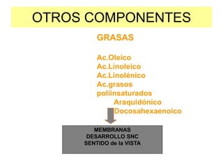 OTROS COMPONENTES
GRASAS
Ac.Oleíco
Ac.Linoleico
Ac.Linolénico
Ac.grasos
poliinsaturados
Araquidónico
Docosahexaenoico
MEMBRANAS
DESARROLLO SNC
SENTIDO de la VISTA
 