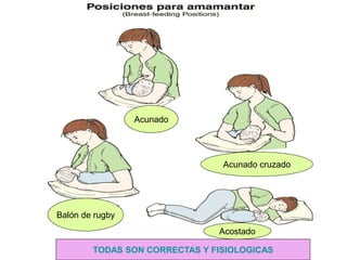 TODAS SON CORRECTAS Y FISIOLOGICAS
Balón de rugby
Acunado
Acunado cruzado
Acostado
 