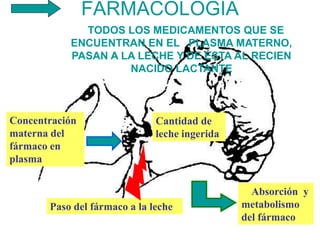 FARMACOLOGÍA
Concentración
materna del
fármaco en
plasma
Paso del fármaco a la leche
Cantidad de
leche ingerida
Absorción y
metabolismo
del fármaco
TODOS LOS MEDICAMENTOS QUE SE
ENCUENTRAN EN EL PLASMA MATERNO,
PASAN A LA LECHE Y DE ÉSTA AL RECIEN
NACIDO LACTANTE
 