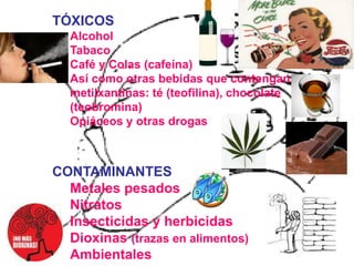 TÓXICOS
Alcohol
Tabaco
Café y Colas (cafeína)
Así como otras bebidas que contengan
metilxantinas: té (teofilina), chocolate
(teobromina)
Opiáceos y otras drogas
CONTAMINANTES
Metales pesados
Nitratos
Insecticidas y herbicidas
Dioxinas (trazas en alimentos)
Ambientales
 