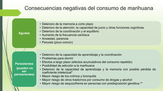 Consecuencias negativas del consumo de marihuana
• Deterioro de la memoria a corto plazo
• Deterioro de la atención, la capacidad de juicio y otras funciones cognitivas
• Deterioro de la coordinación y el equilibrio
• Aumento de la frecuencia cardíaca
• Ansiedad, paranoia
• Psicosis (poco común)
Agudas
• Deterioro de la capacidad de aprendizaje y la coordinación
• Problemas para dormir
• Efectos a largo plazo (efectos acumulativos del consumo repetido)
• Posibilidad de adicción a la marihuana
• Deterioro de la capacidad de aprendizaje y la memoria con posible pérdida de
coeficiente intelectual*
• Mayor riesgo de tos crónica y bronquitis
• Mayor riesgo de otros trastornos por consumo de drogas y alcohol
• Mayor riesgo de esquizofrenia en personas con predisposición genética.**
Persistentes
(pueden no
ser
permanentes)
 