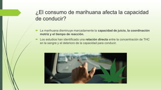 ¿El consumo de marihuana afecta la capacidad
de conducir?
 La marihuana disminuye marcadamente la capacidad de juicio, la coordinación
motriz y el tiempo de reacción.
 Los estudios han identificado una relación directa entre la concentración de THC
en la sangre y el deterioro de la capacidad para conducir.
 